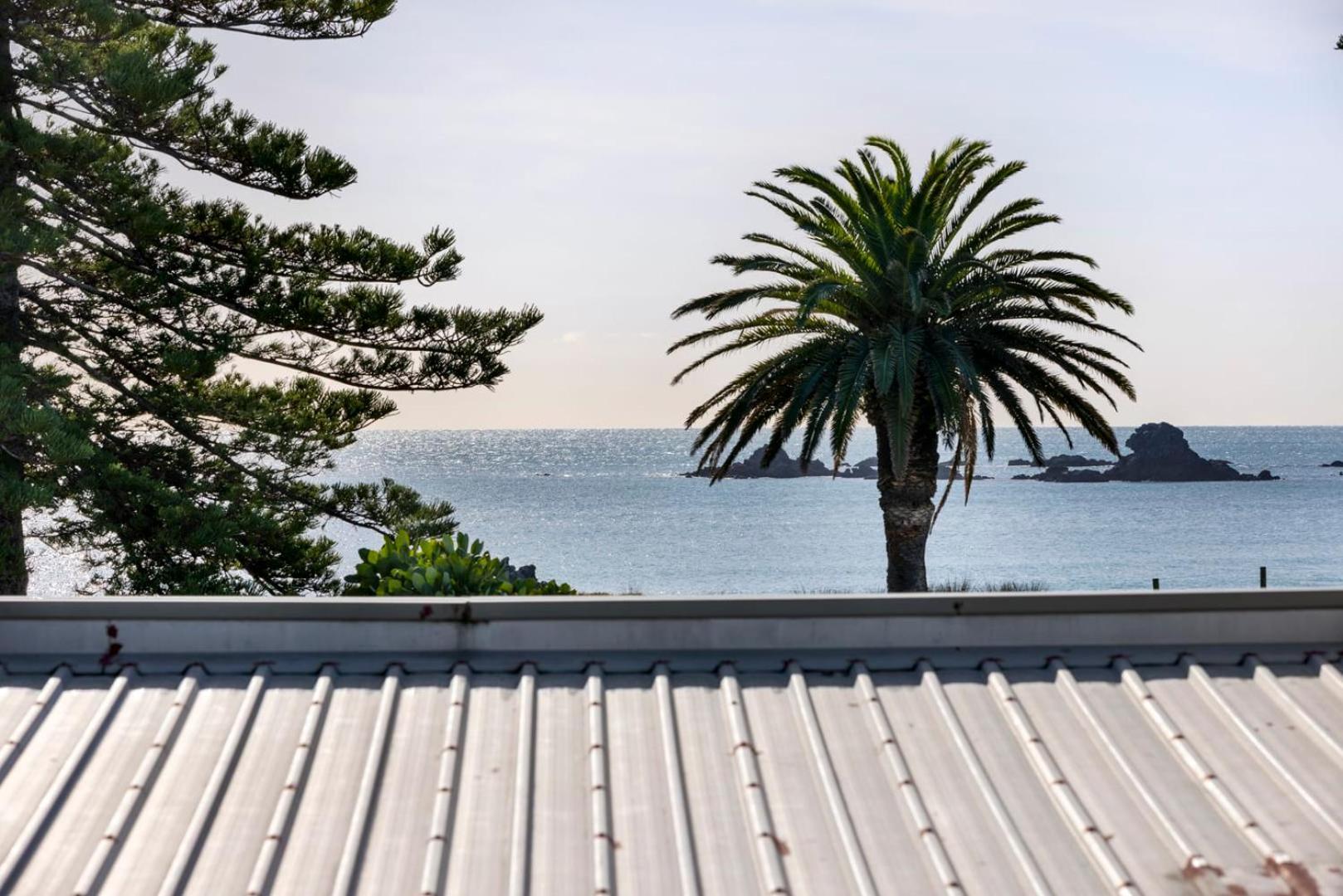 Pacific Escape - Downtown, Beach & Sea Views Mount Maunganui Exteriör bild